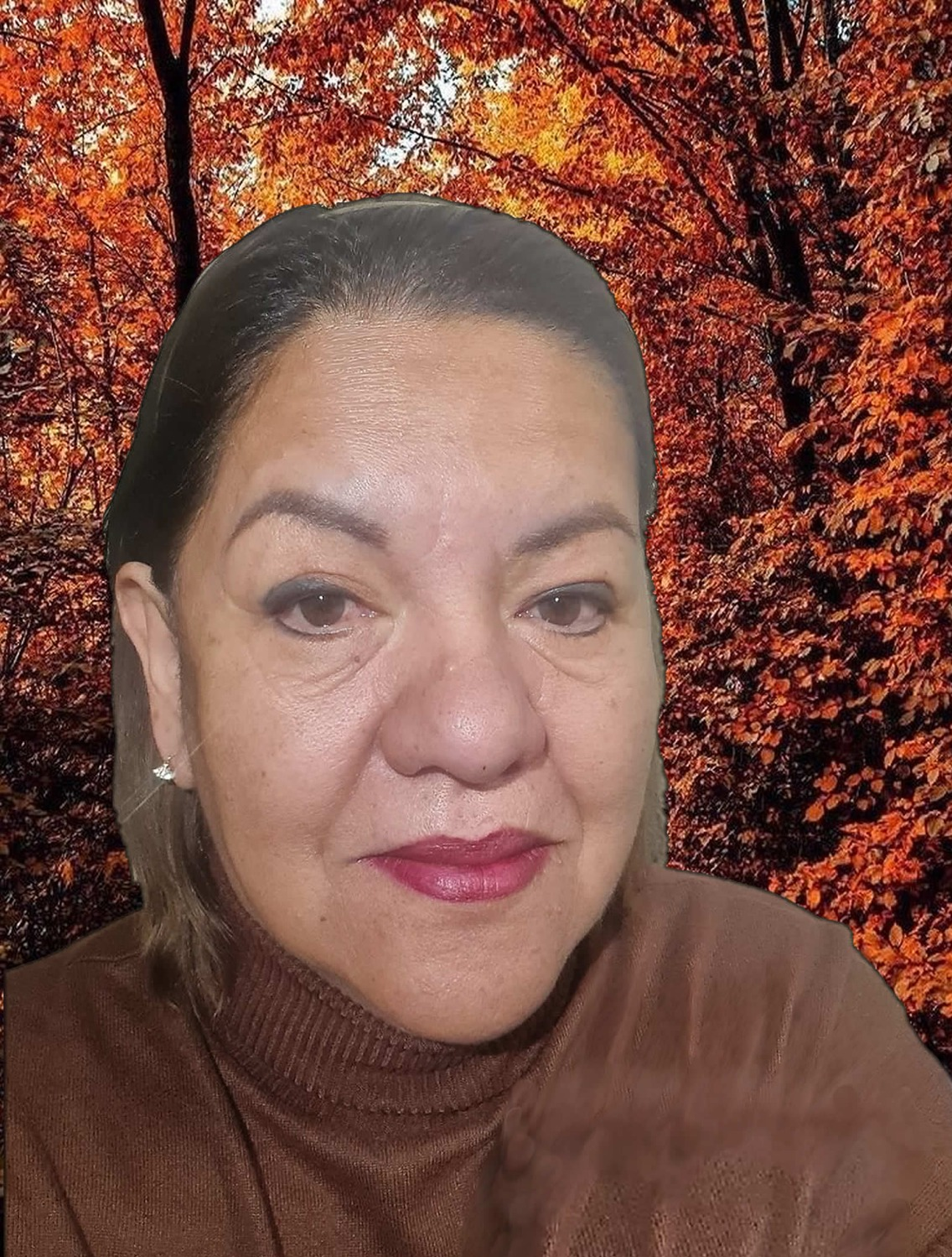 Error al cargar imagen